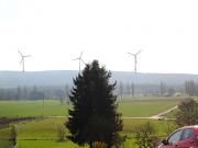 Teaser Bild
