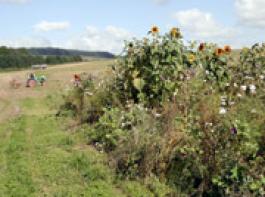 &copy; M�hlhausen/landpixel.de