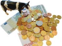  geld, geldscheine, m�nzen, kuh