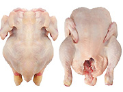 ft_fleisch.Miroslav-Beneda.jpg Fleisch