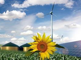 Rund 61 Prozent der Befragten finden �kostromkraftwerke in ihrer Nachbarschaft 'sehr gut' oder 'gut'.&copy; Christian M�hlhausen / Landpixel