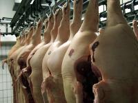 Schweinehaelften.jpg 