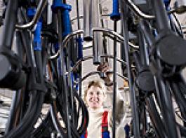 Das komplette Herdenmanagement-System nun auch f�r den Anbindestall