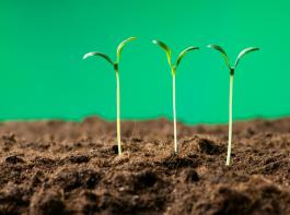 Die DLG f�rchtet, dass k�nftig wichtige Aussagen zur regionalen Anbaueignung nicht mehr f�r Landwirte zur Verf�gung stehen.&copy; Elnur/Fotolia