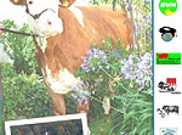 Spitzentiere aus ganz Nordbayern auf der Tierschau 