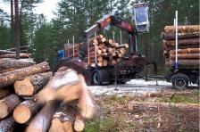 Teaser Bild