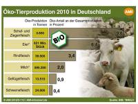 Oeko_TierproduktionAMI.jpg 