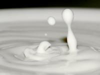 ft_kristian-sekulic.jpg Milch