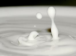 &copy; kristian-sekulic/Fotolia