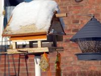 Vogelfutter_Winter.jpg Schnee, Vogelfutter