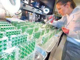 Im Bereich Pflanzenbiotechnologie verzeichnete Bayer 2011 einen Umsatzzuwachs um 19 Prozent.&copy; Bayer CropScience