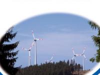 DLG-Merkblatt-367-Windraede.jpg 