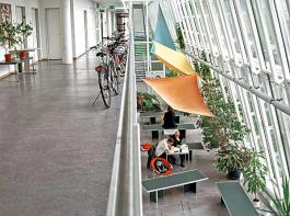 Der Studiengang ist �berschaubar, die Arbeitsbedingungen sind gut.