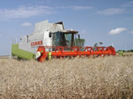 Ernte 2010 muss als zertifizierte Biomasse in den Handel