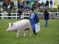 MeLaMesse2010.jpg 