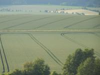 Landschaft_Fruehsommer.jpg 