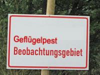 Vogelgrippe_Schild.jpg Vogelgrippe