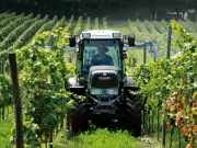 Fendt 200 Vario VFP.jpg