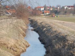 Der zun�chst w�rmste Tag wird der Freitag, wenn es in den meisten Regionen 10 bis 13 Grad mild wird.&copy; M�hlhausen/landpixel
