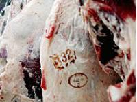 ap_Schlachtfleisch.jpg Fleisch