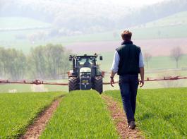 Der Glyphosat-Einsatz ist umstritten: W�hrend die einen Gesundheits- und Bodensch�den f�rchten, bezeichnen es die anderen als unverzichtbaren Wirkstoff f�r Pflanzenschutzmittel.&copy; M�hlhausen/landpixel