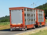 Tiertransporter.jpg 