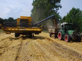 Trockenheit verantwortlich f�r fr�hen Erntebeginn.&copy; LWK Niedersachsen