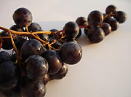 &copy; corinne-matusiak/Fotolia