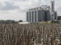weizen_silo.jpg 