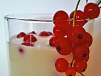 Joghurt_by_Angelina-Stroebe.jpg 