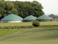 biogasanlagen.jpg 
