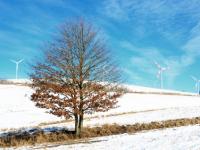 iStock_000019277046XSmall.jpg 