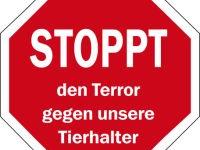 temp Image