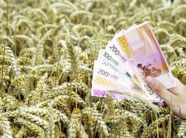 Im Schnitt erhalten Landwirte 300 Euro Fl�chenpr�mie.&copy; krick/agrar-press
