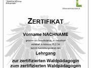 Teaser Bild