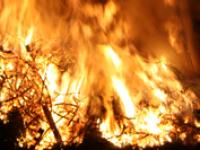 Waldbrand_by_Tonia-Poeppler.jpg 