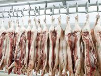 Schweinehaelften.jpg 
