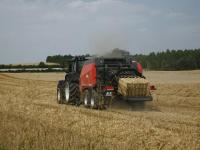 Kuhn_LSB1270.jpg 