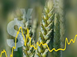 Funktionierende Agrarm�rkte liegen im Interesse aller Marktakteure&copy; Christian M�hlhausen / www.landpixel.de