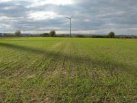 Klimafarm_Soest.jpg 
