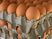 eierschachtel.jpg Eier, Schachtel