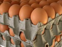 eierschachtel.jpg Eier, Schachtel