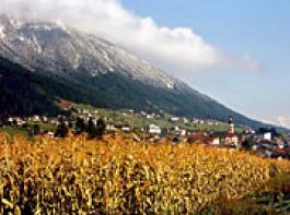�sterreicher unzufrieden mit der EU