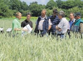 Um die Bodenwassersituation zu entspannen, sollten auch auf leichten B�den mehr Winterfr�chte angebaut werden.&copy; M�hlhausen