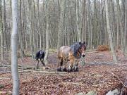 Teaser Bild