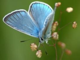 &copy; Alain Gaymard/Fotolia