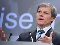 ciolos_rede2.jpg 