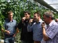 Landwirte_essen_Tomaten_web.jpg 
