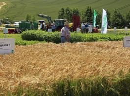 Rund 3.500 Besucher kommen auf die Agrartage der BayWa in Gr�ndl bei Nandlstadt. &copy; bem
