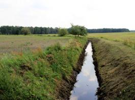 Bauen im Wasserschutzgebiet wird k�nftig schwieriger f�r Landwirte. &copy; LBV